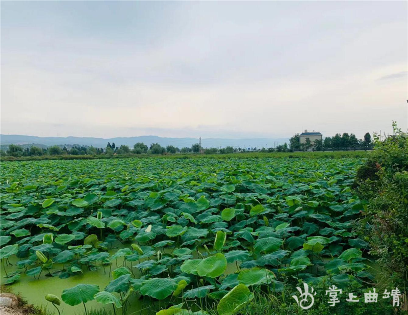 千彩我的小火锅（曲靖周边夏日游玩好去处）(图2)