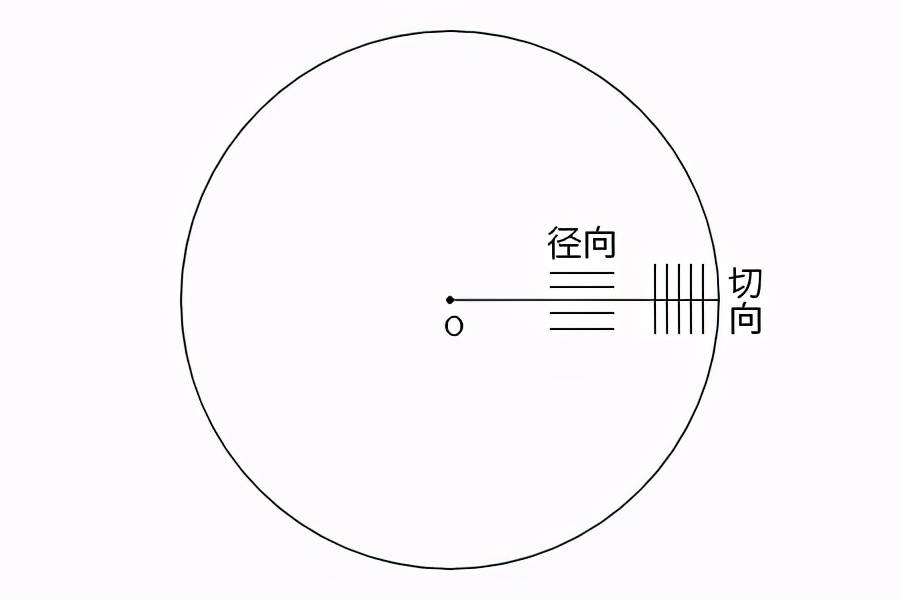 单反相机镜头知识（关于相机镜头你要知道的几点）(图3)