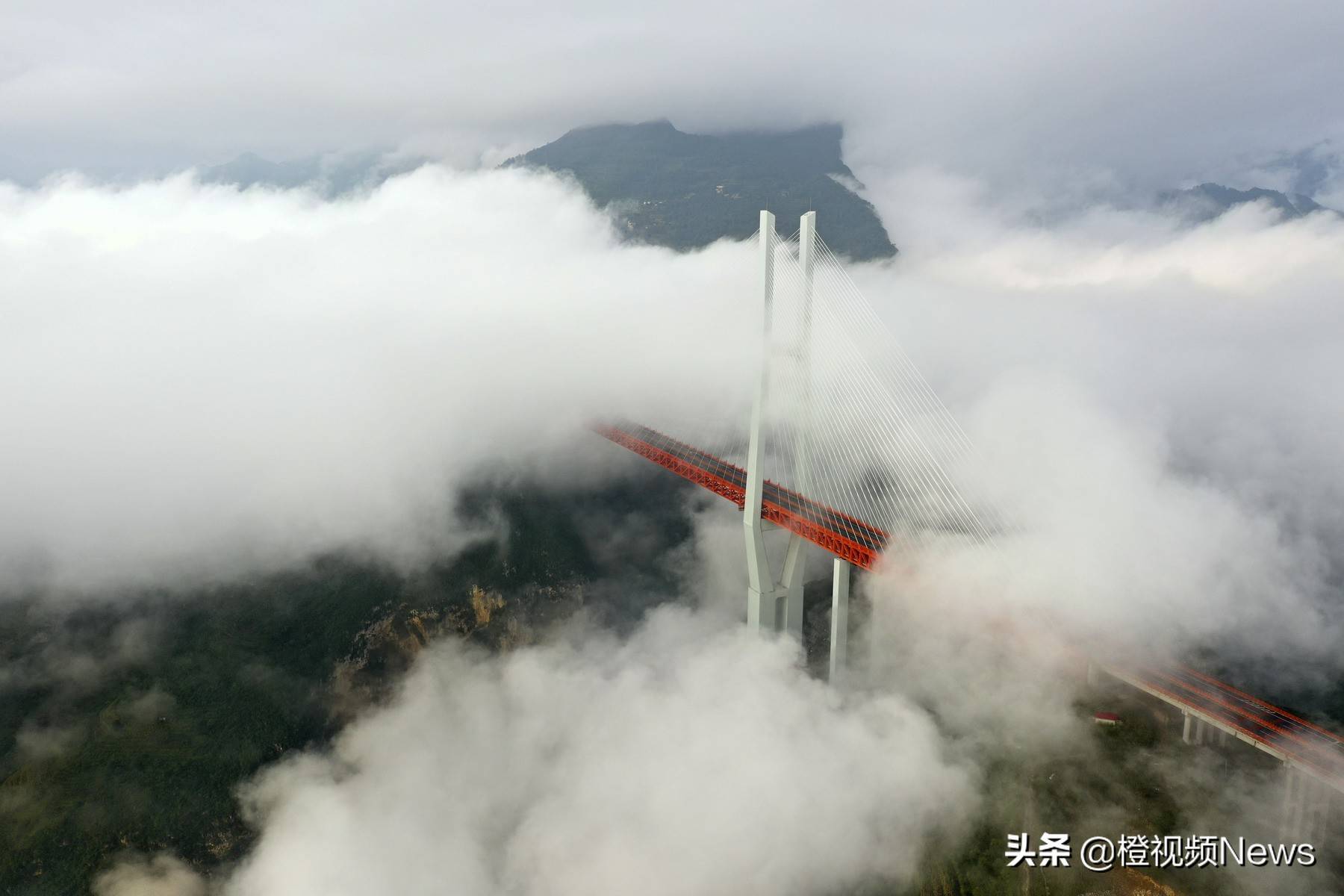 高速上团雾图片图片