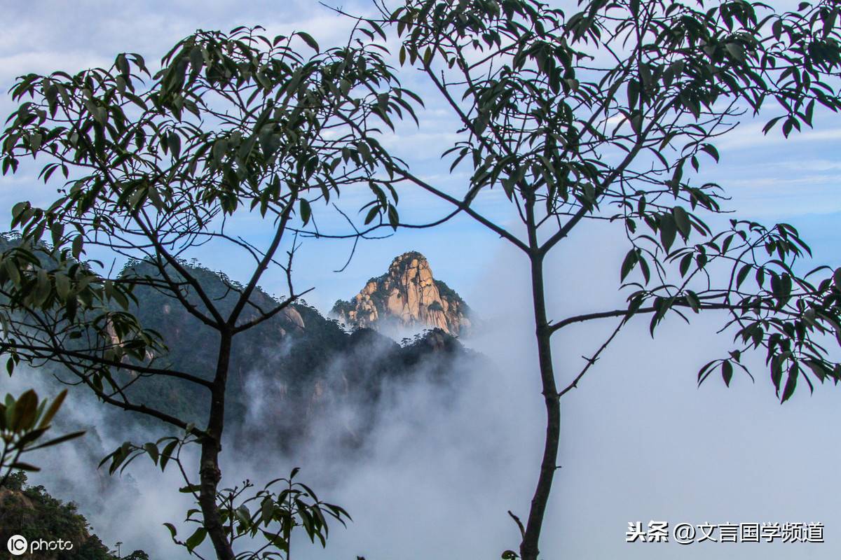 春草明年绿 王孙归不归（王孙归不归全诗意思）(图2)