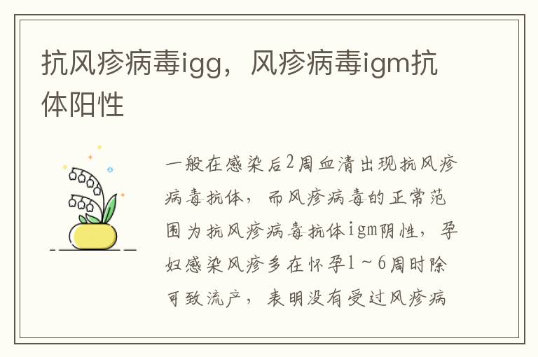 抗风疹病毒igg，风疹病毒igm抗体阳性