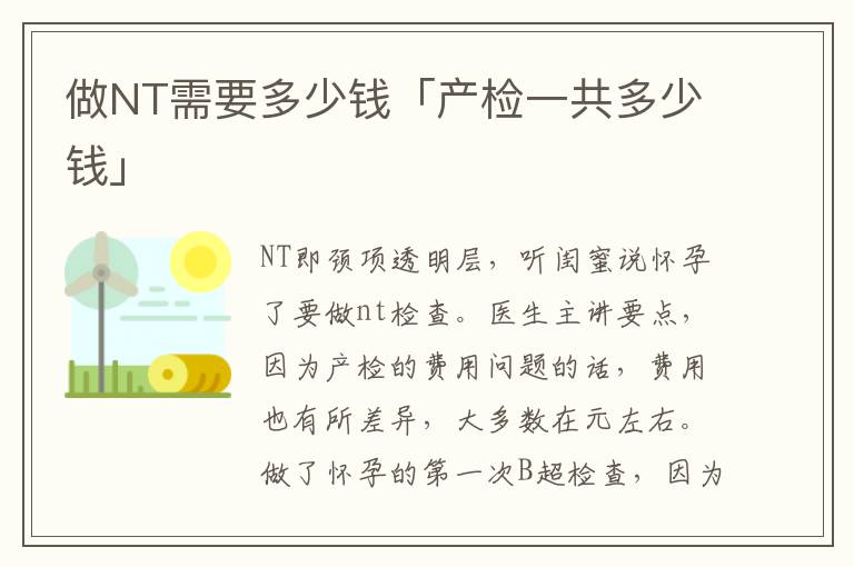 做NT需要多少钱「产检一共多少钱」