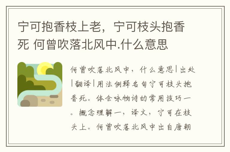 宁可抱香枝上老，宁可枝头抱香死 何曾吹落北风中.什么意思