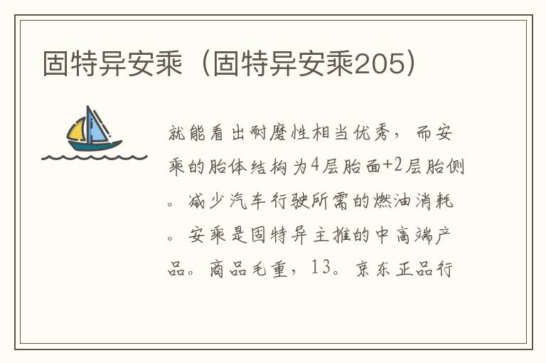 固特异安乘（固特异安乘205）