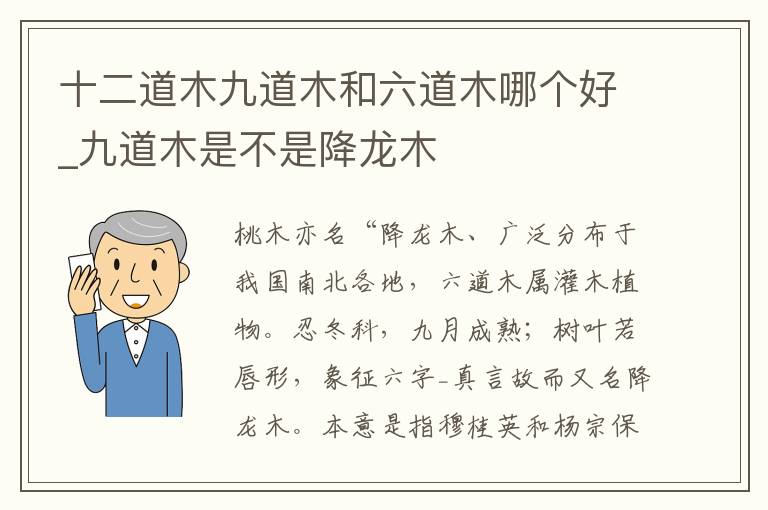 十二道木九道木和六道木哪个好_九道木是不是降龙木