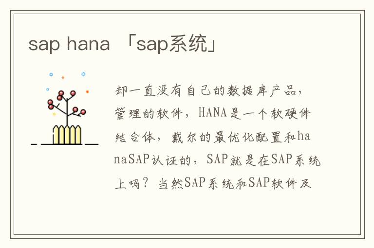 sap hana 「sap系统」