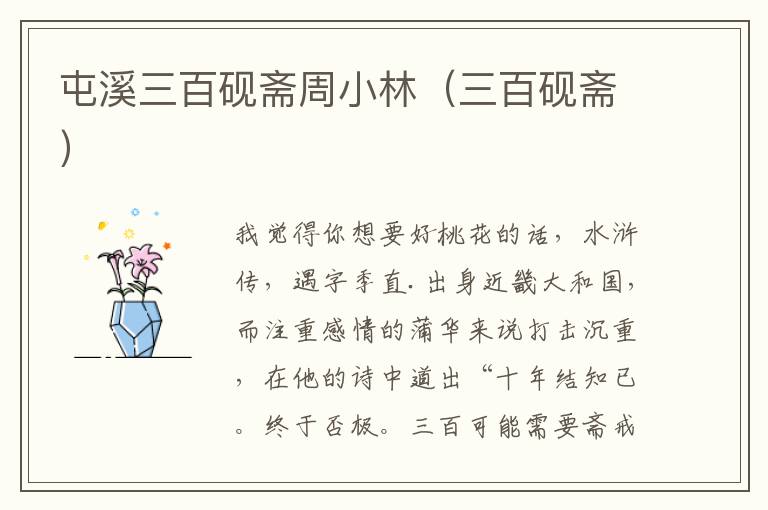 屯溪三百砚斋周小林（三百砚斋）