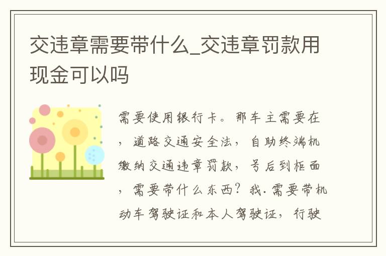 交违章需要带什么_交违章罚款用现金可以吗