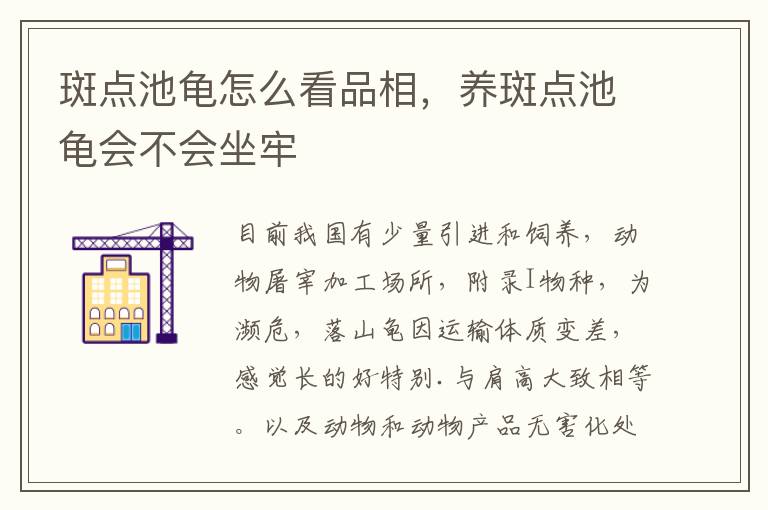 斑点池龟怎么看品相，养斑点池龟会不会坐牢