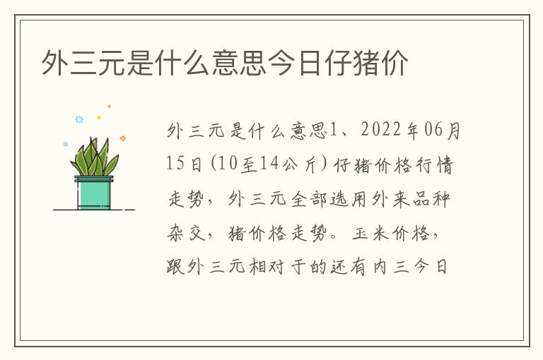 外三元是什么意思今日仔猪价