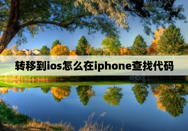 转移到ios怎么在iphone查找代码