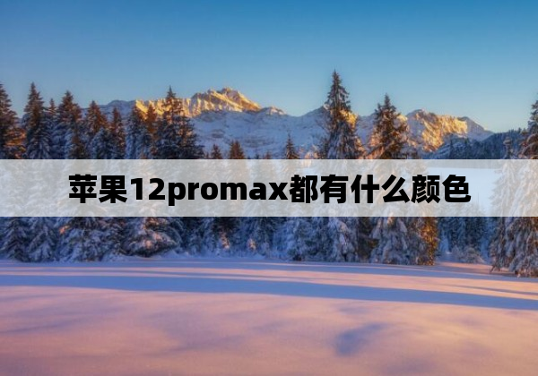 苹果12promax都有什么颜色