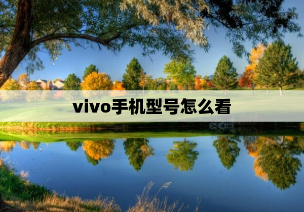 vivo手机型号怎么看