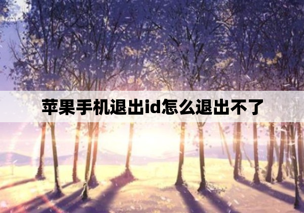 苹果手机退出id怎么退出不了