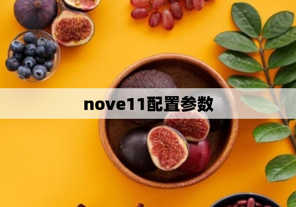 nove11配置参数