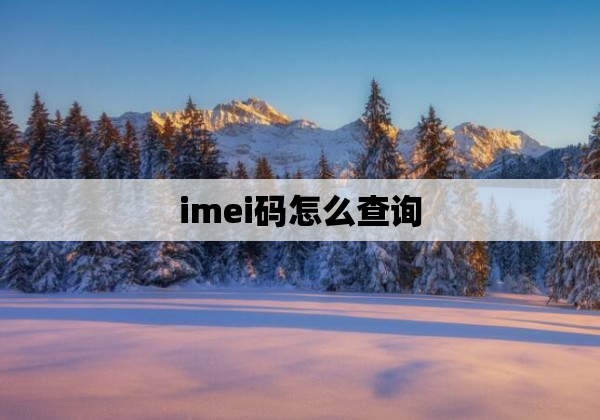 imei码怎么查询