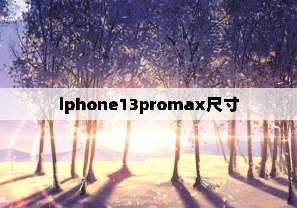 iphone13promax尺寸