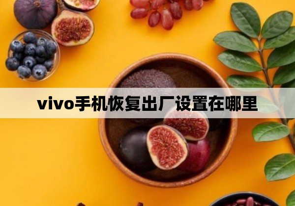 vivo手机恢复出厂设置在哪里