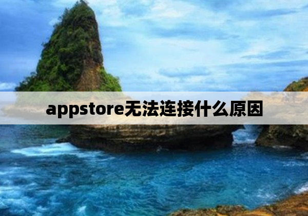 appstore无法连接什么原因