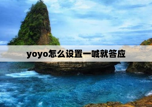 yoyo怎么设置一喊就答应