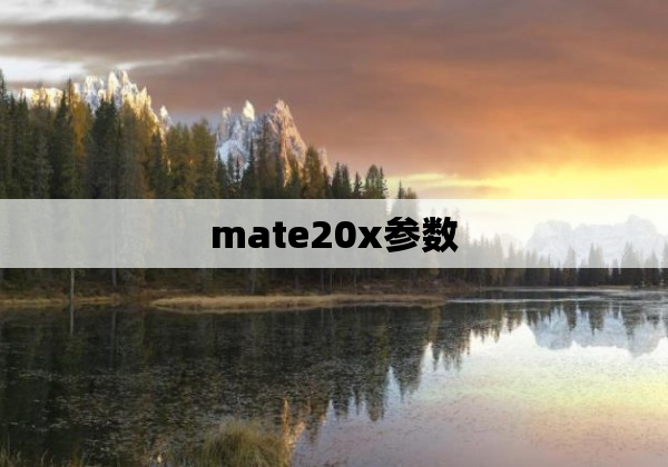 mate20x参数