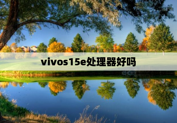 vivos15e处理器好吗