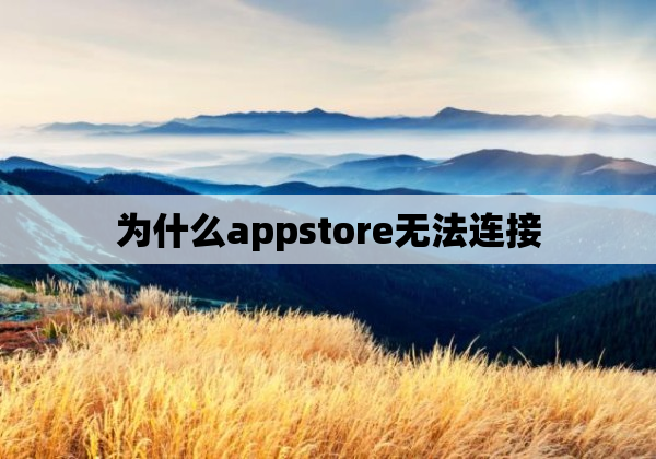 为什么appstore无法连接