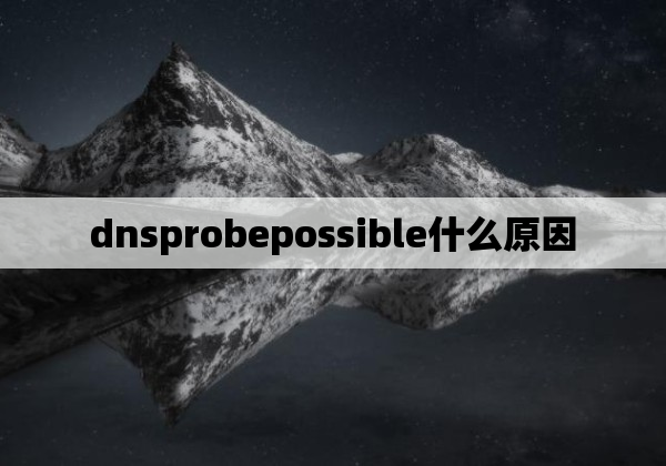 dnsprobepossible什么原因