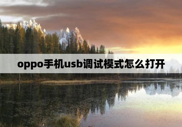 oppo手机usb调试模式怎么打开