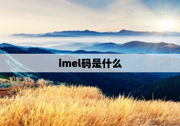 imel码是什么