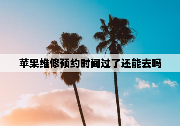 苹果维修预约时间过了还能去吗