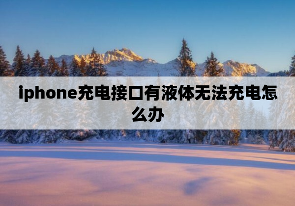 iphone充电接口有液体无法充电怎么办