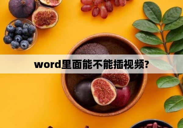 word里面能不能插视频?