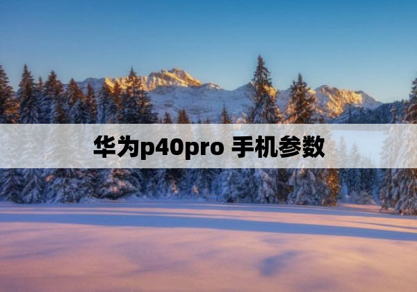 华为p40pro 手机参数