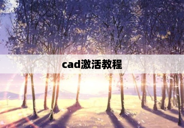 cad激活教程