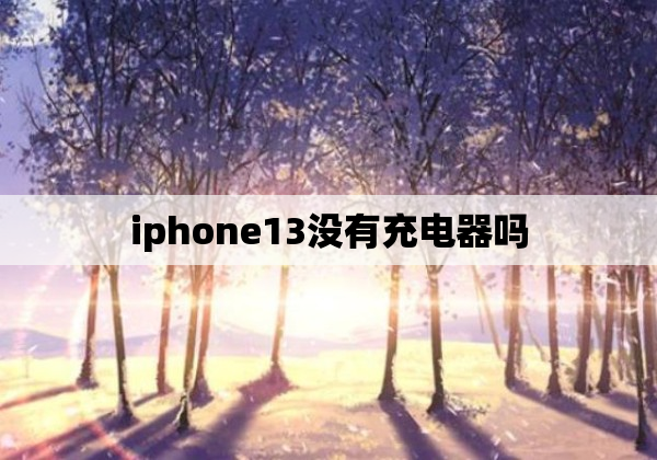 iphone13没有充电器吗