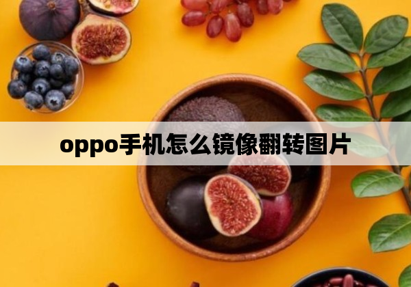 oppo手机怎么镜像翻转图片