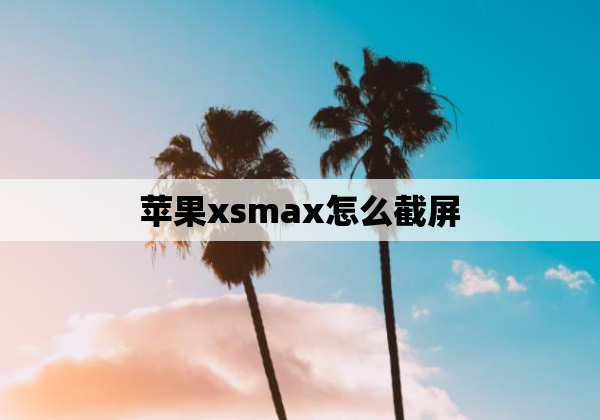 苹果xsmax怎么截屏