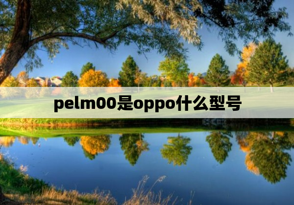 pelm00是oppo什么型号