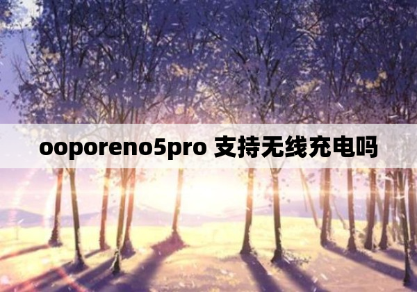 ooporeno5pro 支持无线充电吗