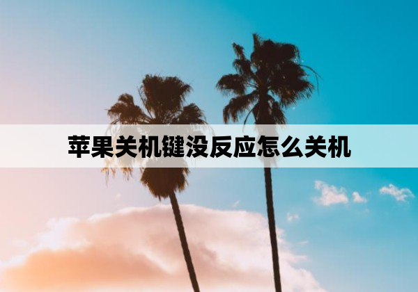 苹果关机键没反应怎么关机