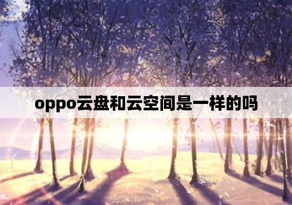 oppo云盘和云空间是一样的吗