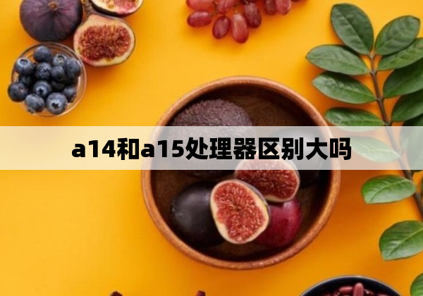 a14和a15处理器区别大吗