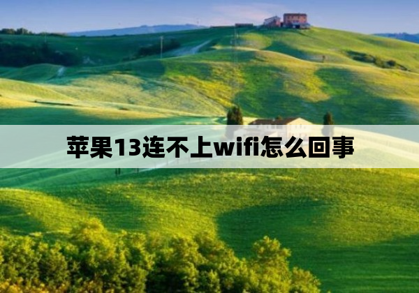 苹果13连不上wifi怎么回事