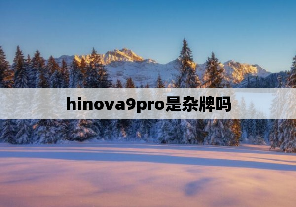 hinova9pro是杂牌吗