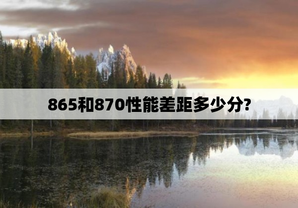 865和870性能差距多少分?