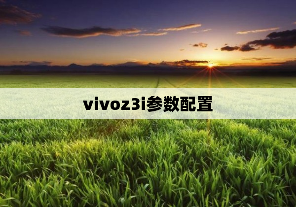 vivoz3i参数配置