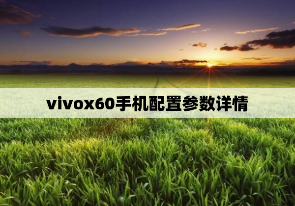 vivox60手机配置参数详情