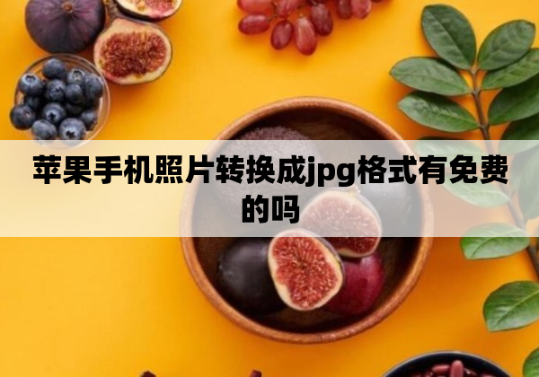 苹果手机照片转换成jpg格式有免费的吗