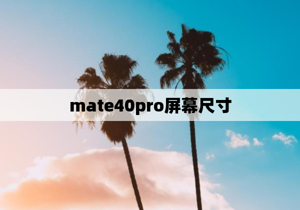 mate40pro屏幕尺寸